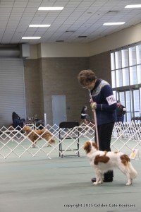 IMG_9368