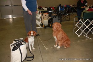 IMG_9384