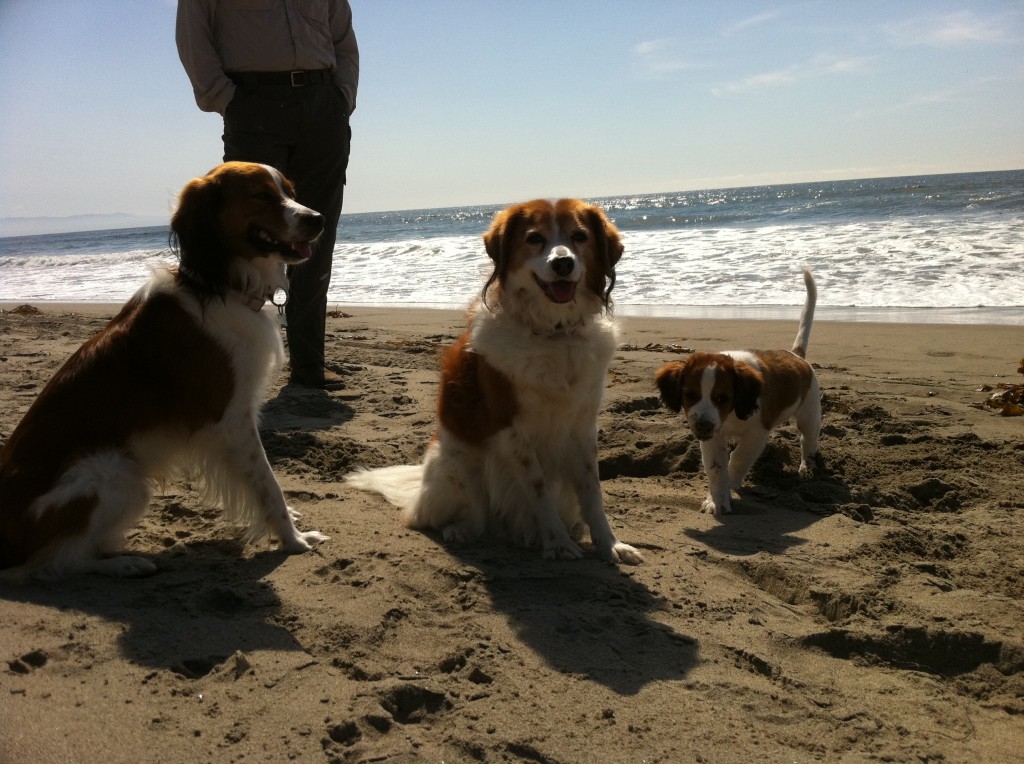 Amica, Nelle, & Toni at the beach